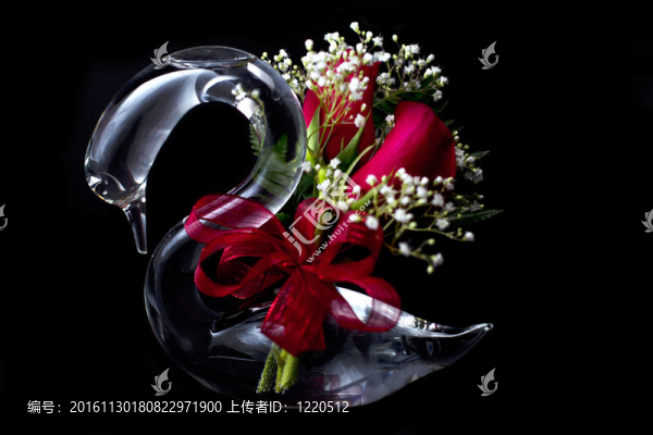 浪漫的Glass,Swan