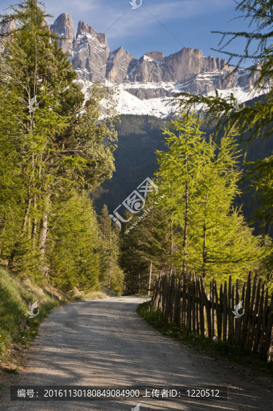 在意大利阿爾卑斯山的道路