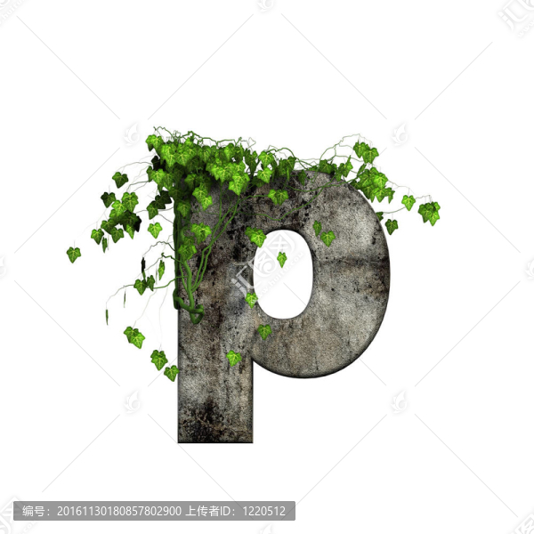 綠色常春藤上的3D石字母-,P