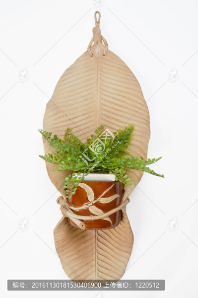 陶器干香蕉葉