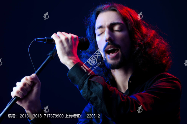 在音樂會上唱歌的人
