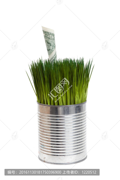 綠草和美元