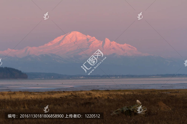 雪的貓頭鷹和山