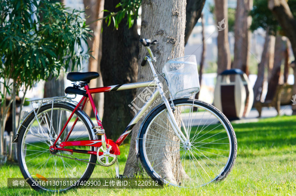 公園里的自行車