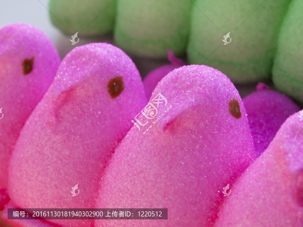 小雞棉花糖