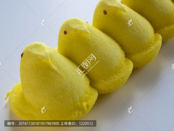 小雞棉花糖