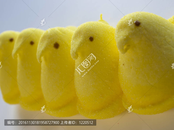 小雞棉花糖