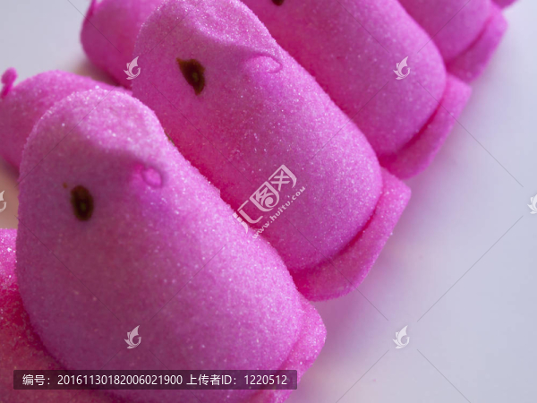 小雞棉花糖