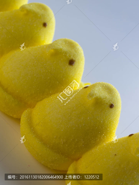 小雞棉花糖