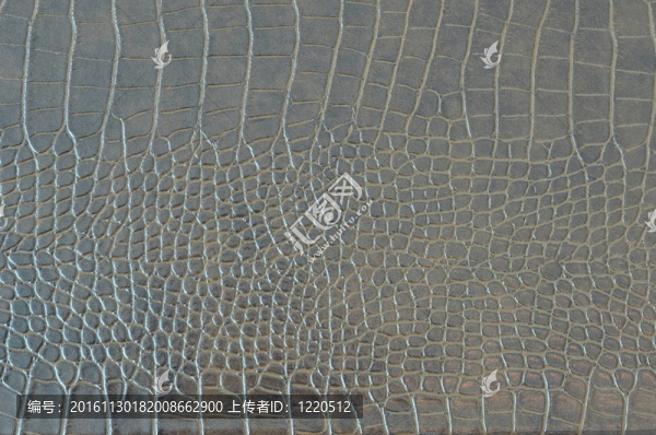 鱷魚(yú)皮