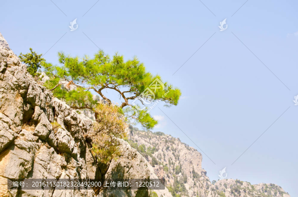 美麗的景色mounttain綠色峽谷