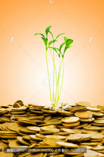 貨幣增長的概念與硬幣和幼苗