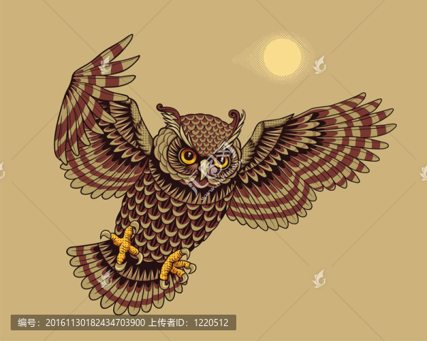 飛鸮鳥