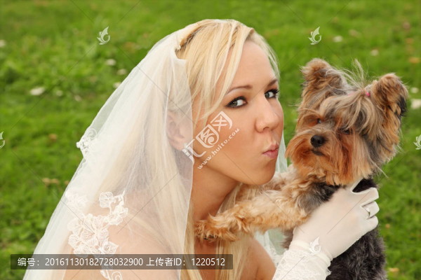 美麗的年輕新娘穿著白色連衣裙在綠色的原野上親吻小狗