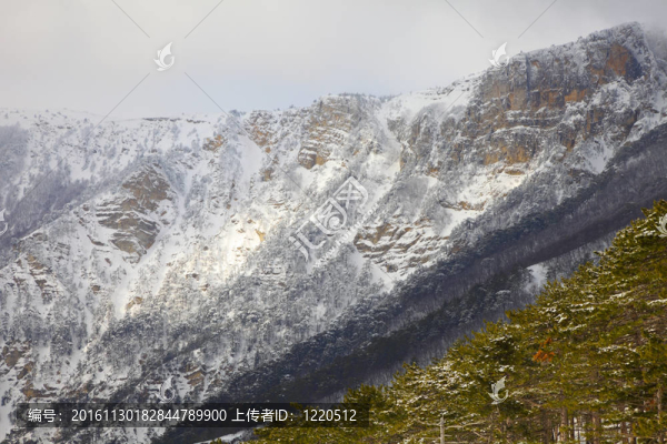 山