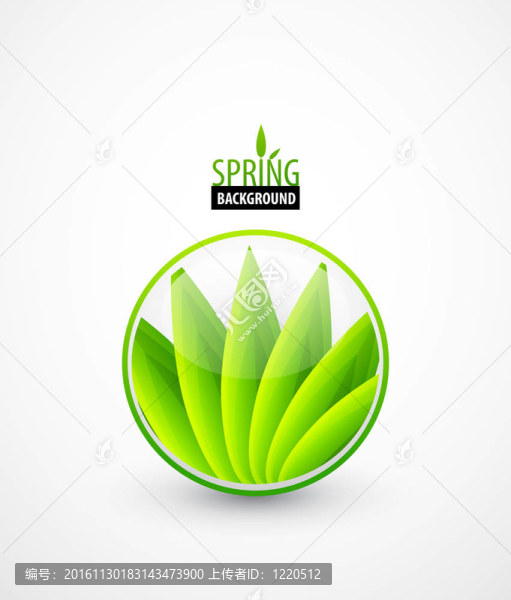 綠葉泉概念