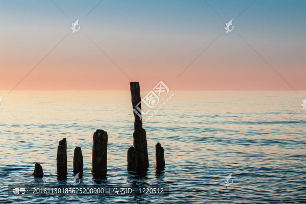 在波羅的海海邊的Groyne。