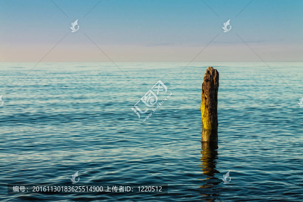 在波羅的海海邊的Groyne。