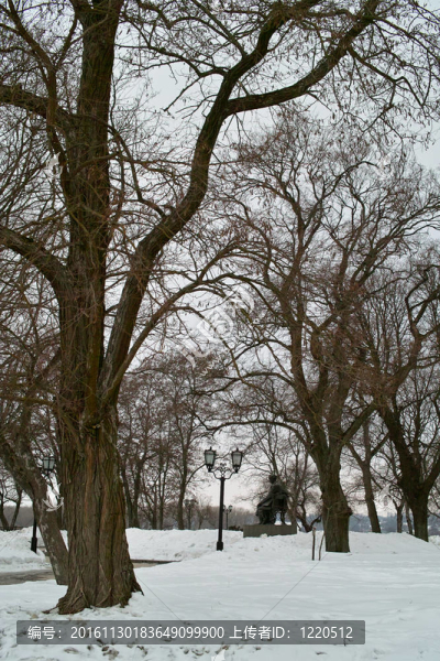 在大雪公園的紀念碑