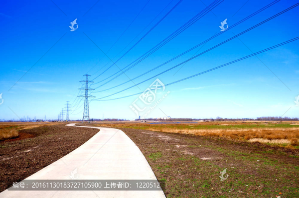 騎自行車旅行