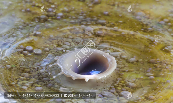 盆地