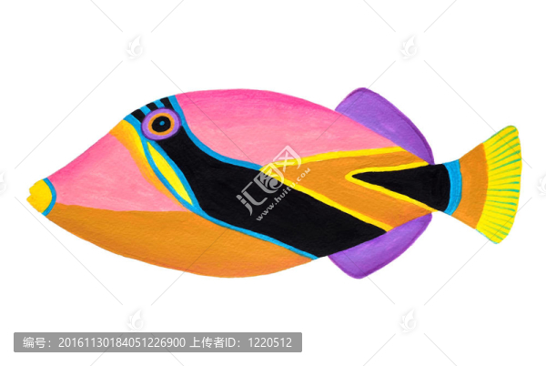 楔尾熱帶魚