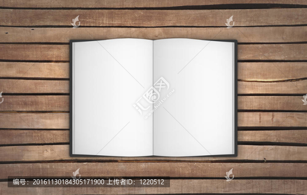 打開木頭上的書