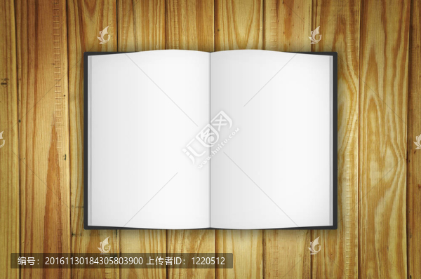 打開舊木頭上的書
