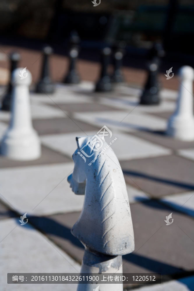 大棋