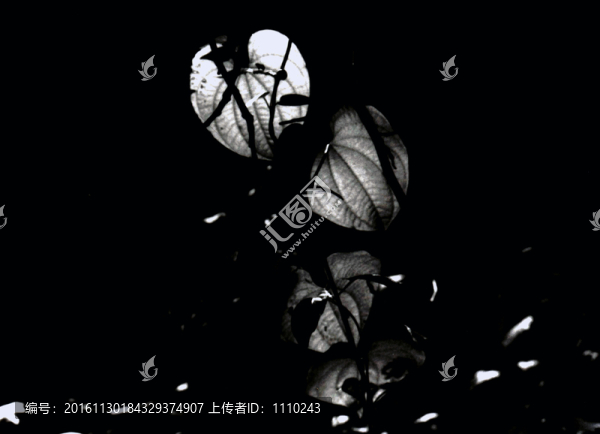 黑白剪影