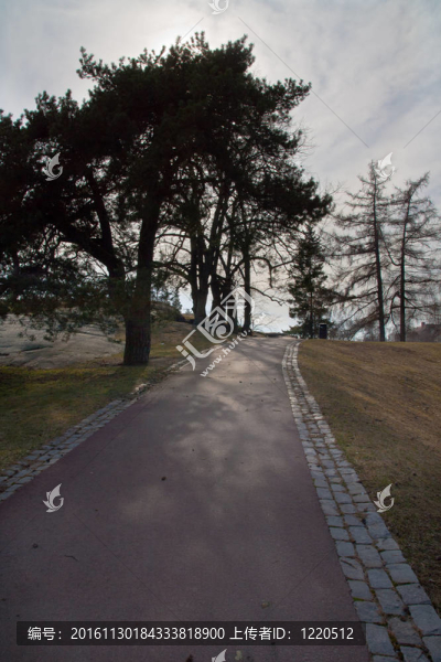 公園路