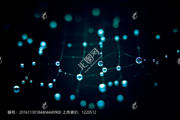 露水網(wǎng)