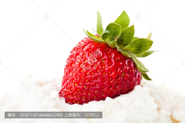 Strawberry和豆腐