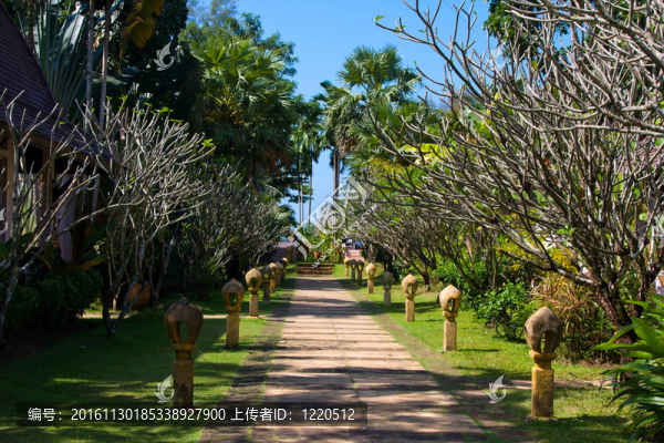 熱帶花園中的步行道