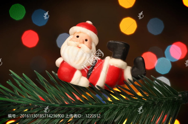 Santa在圣誕樹枝上休息