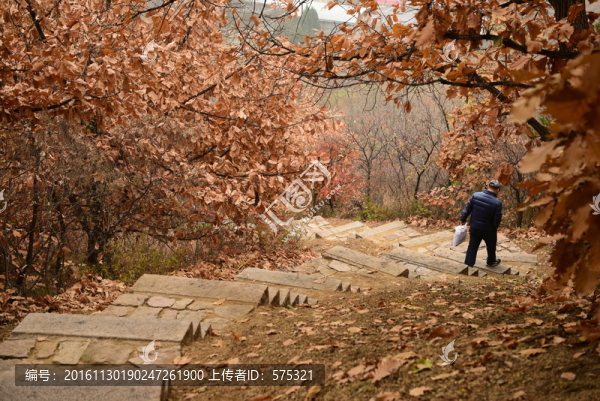 踏秋,山路