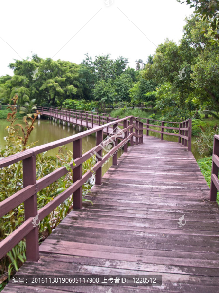 木橋