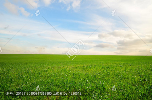 天然成分-匯圖網(wǎng) www.fosd68.com 天然成分