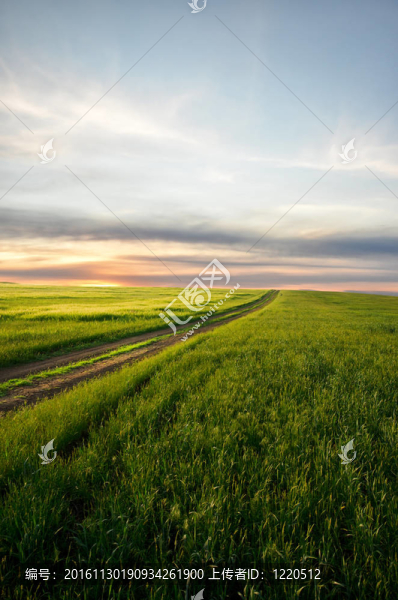 土路