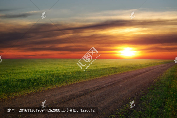 土路