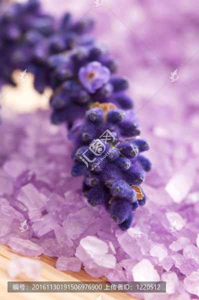 薰衣草花與浴鹽-美容治療