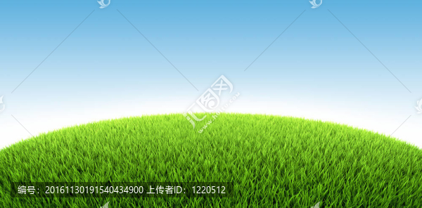草原