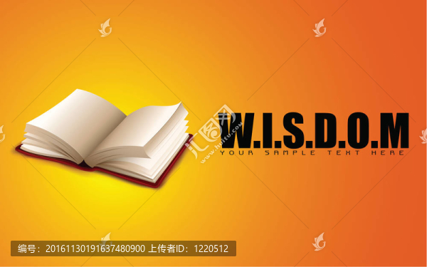 顯示智慧的書