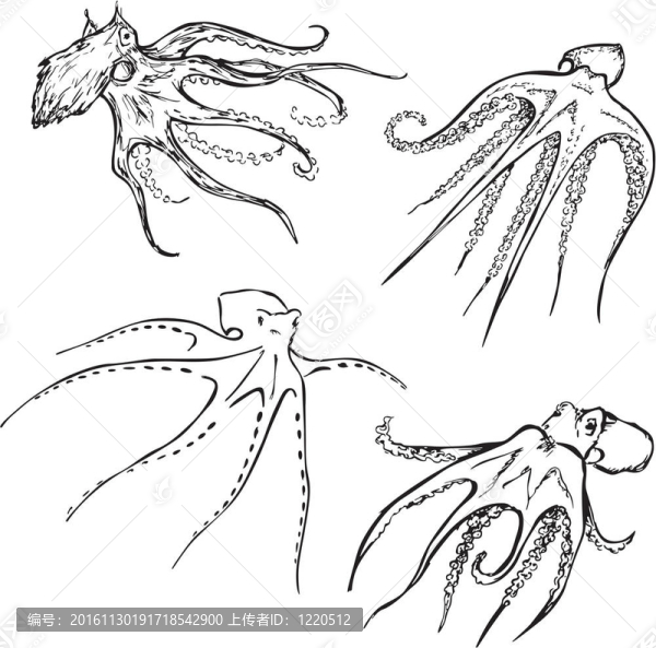 章魚向量集