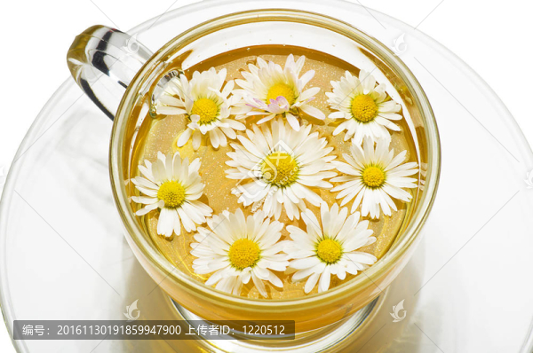 與花在洋甘菊花草茶