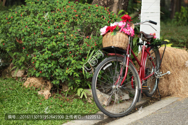 紅色的自行車