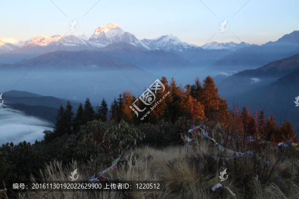 安納布爾納峰的跋涉