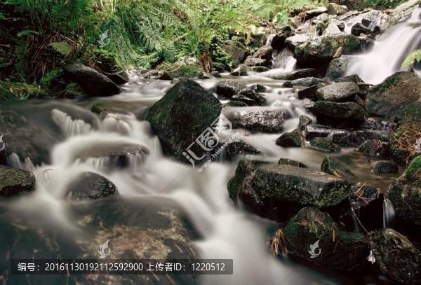 山區(qū)河流。森林和山區(qū)地形中的一條溪流