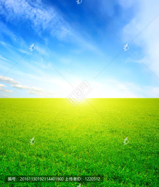 夏天的風(fēng)景
