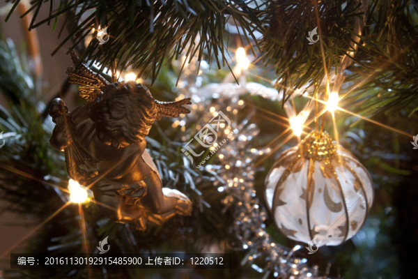 圣誕樹(shù)